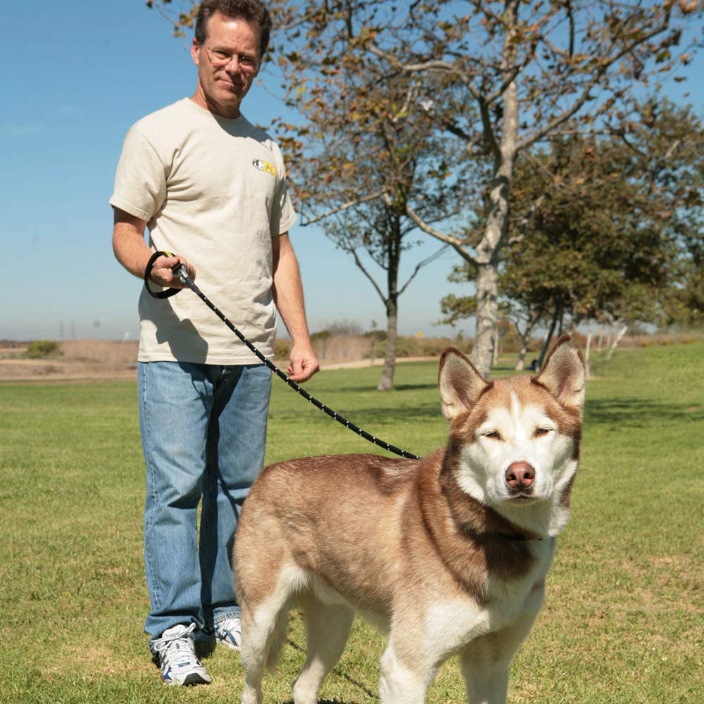 Alpine Outfitters Chew-Proof Dog Leash