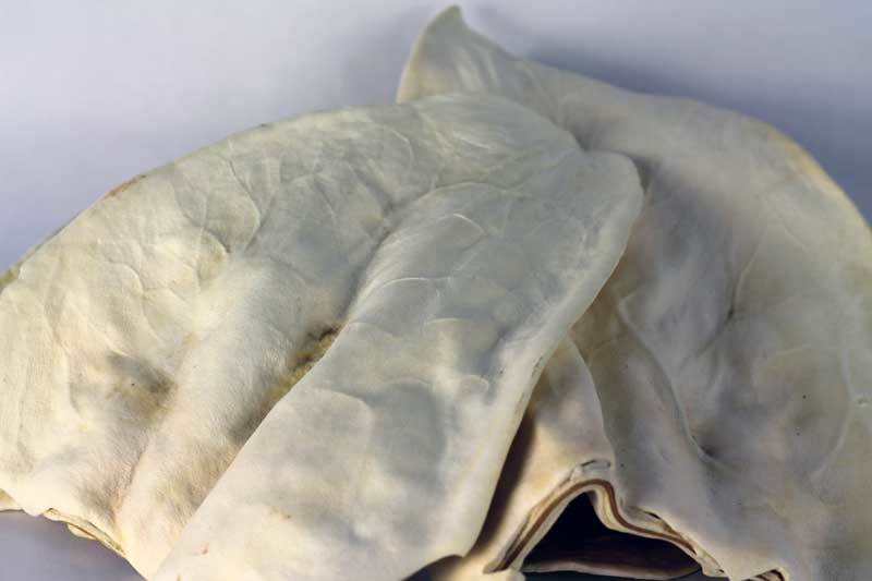 Fantastic Dog Chews Cow Ears