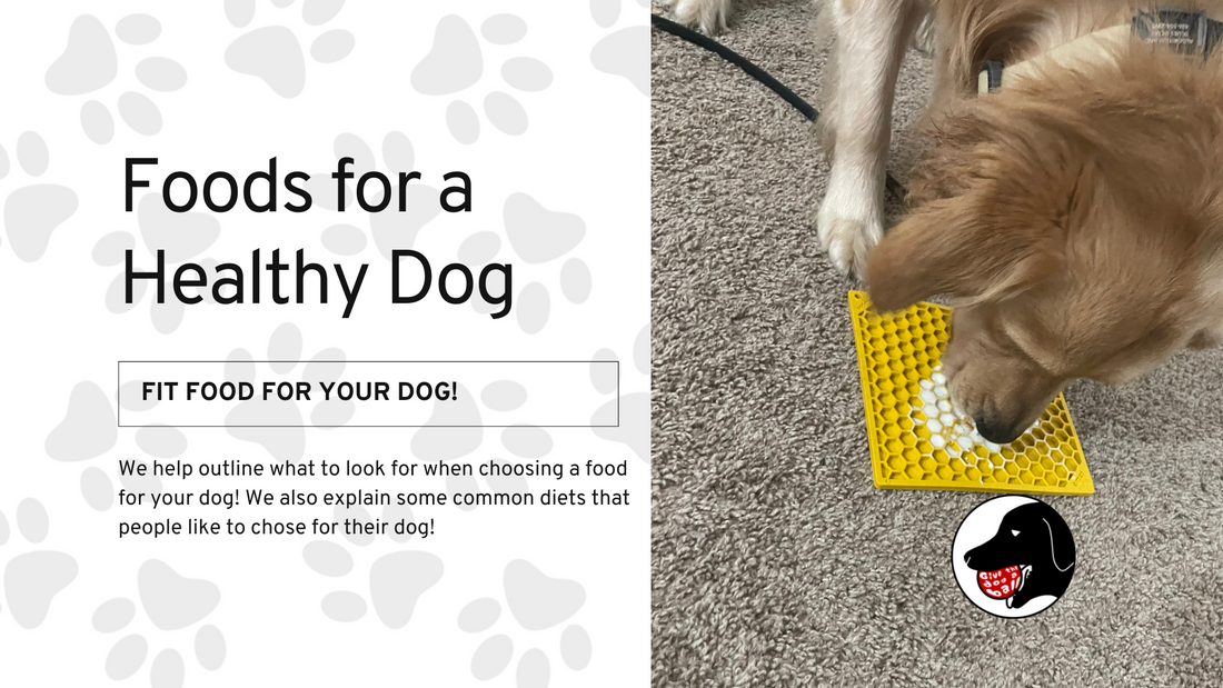 Foods for a Healthy Dog