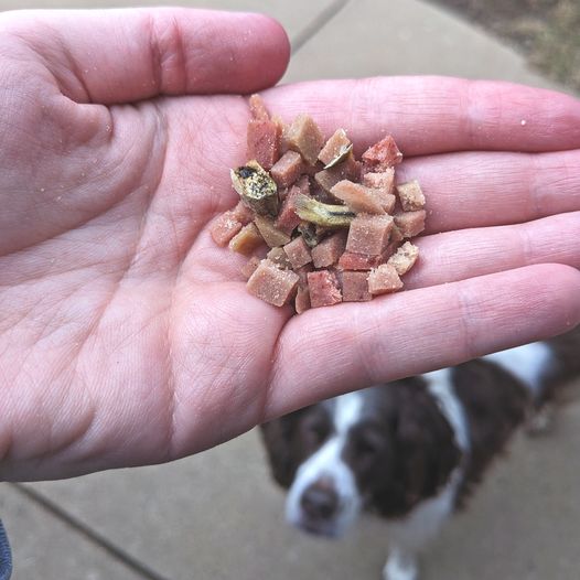 Dog Turkey Meat Roll