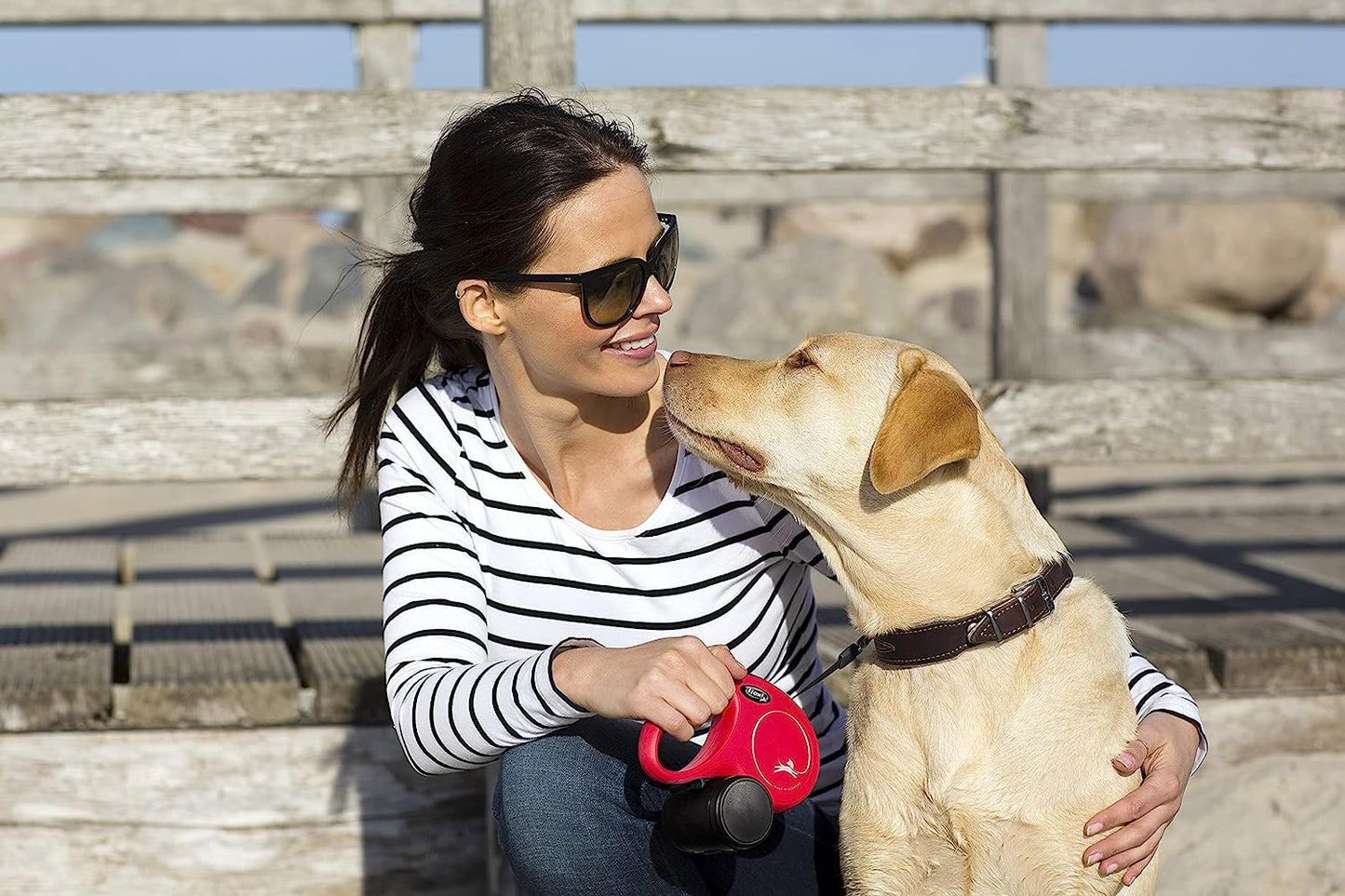 Flexi Retractable Leash