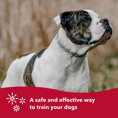 Herm Sprenger Stainless Steel Prong Collar