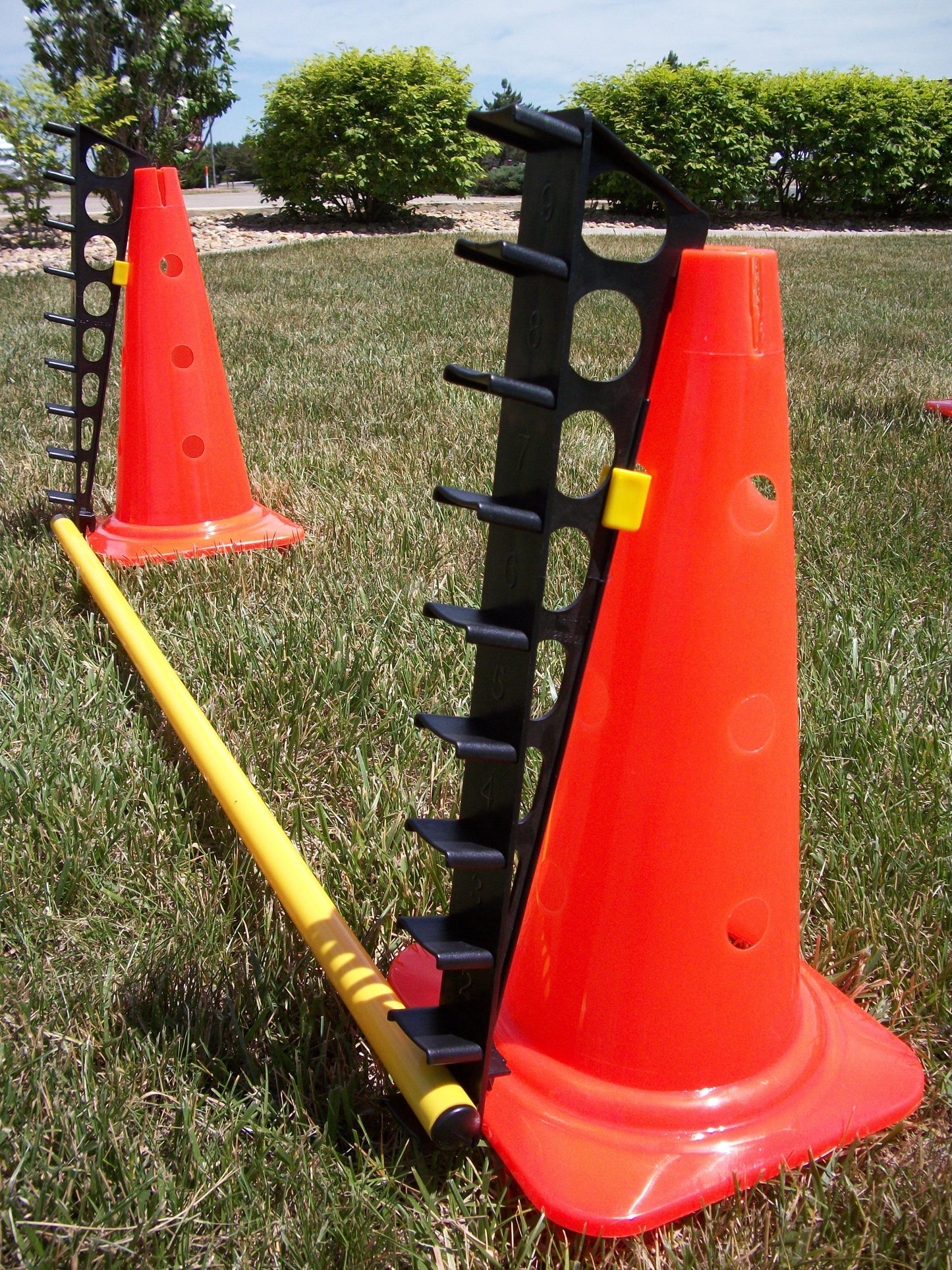 FitPAWS Hurlde Set 4 Jumps