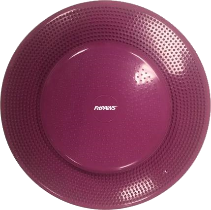Balance Disc