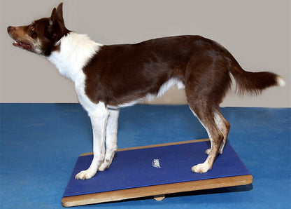 FitPAWS Giant Rocker Board