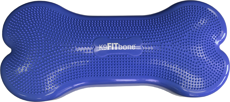 Giant K9FITbone