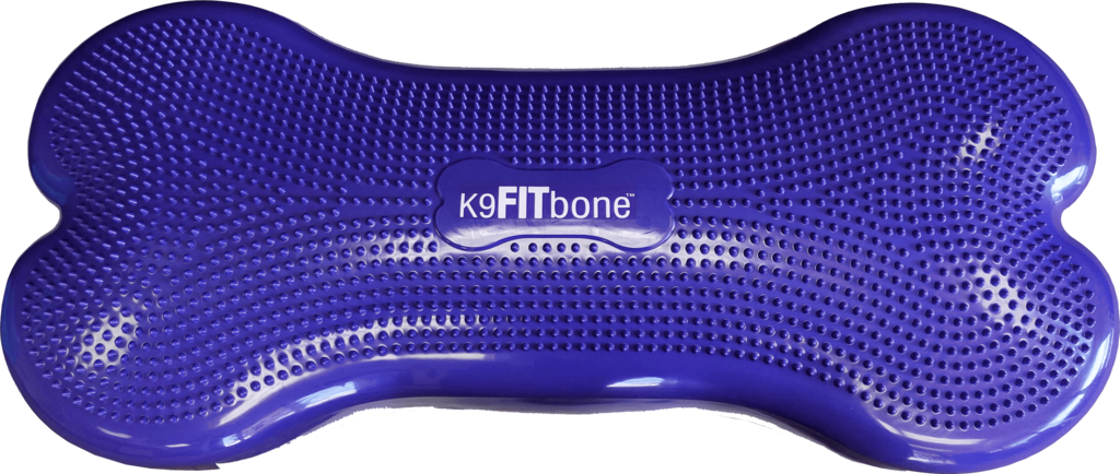Giant K9FITbone