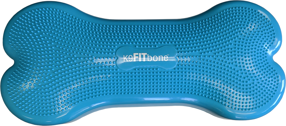 Giant K9FITbone