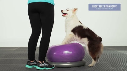 FitPAWS Trax Donut