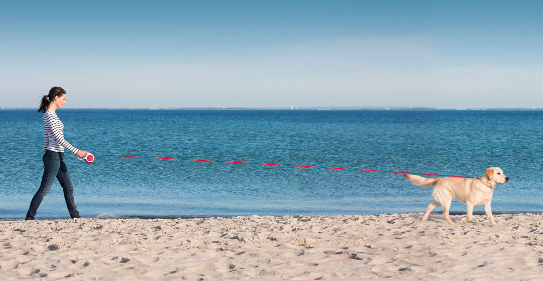 Flexi Retractable Leash