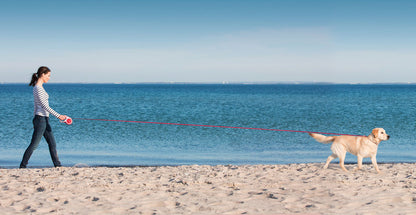 Flexi Retractable Leash