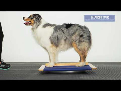 FitPAWS Giant Rocker Board