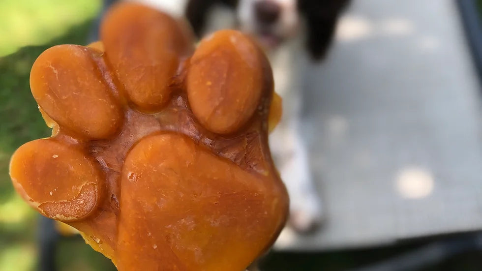 No Fuss Pawsicle Mold