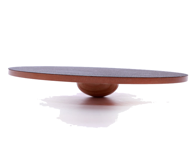 FitPAWS Wobble Board