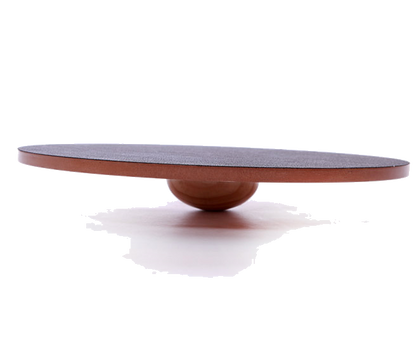 FitPAWS Wobble Board