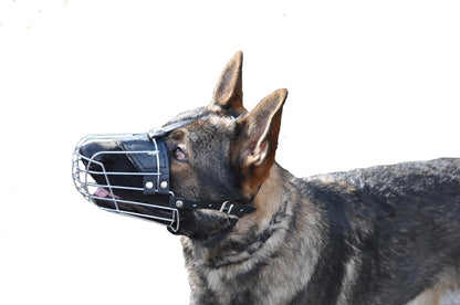 Delta Wire Basket Muzzle