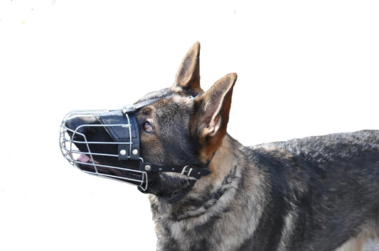 Delta Wire Basket Muzzle