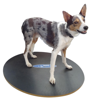 FitPAWS Wobble Board