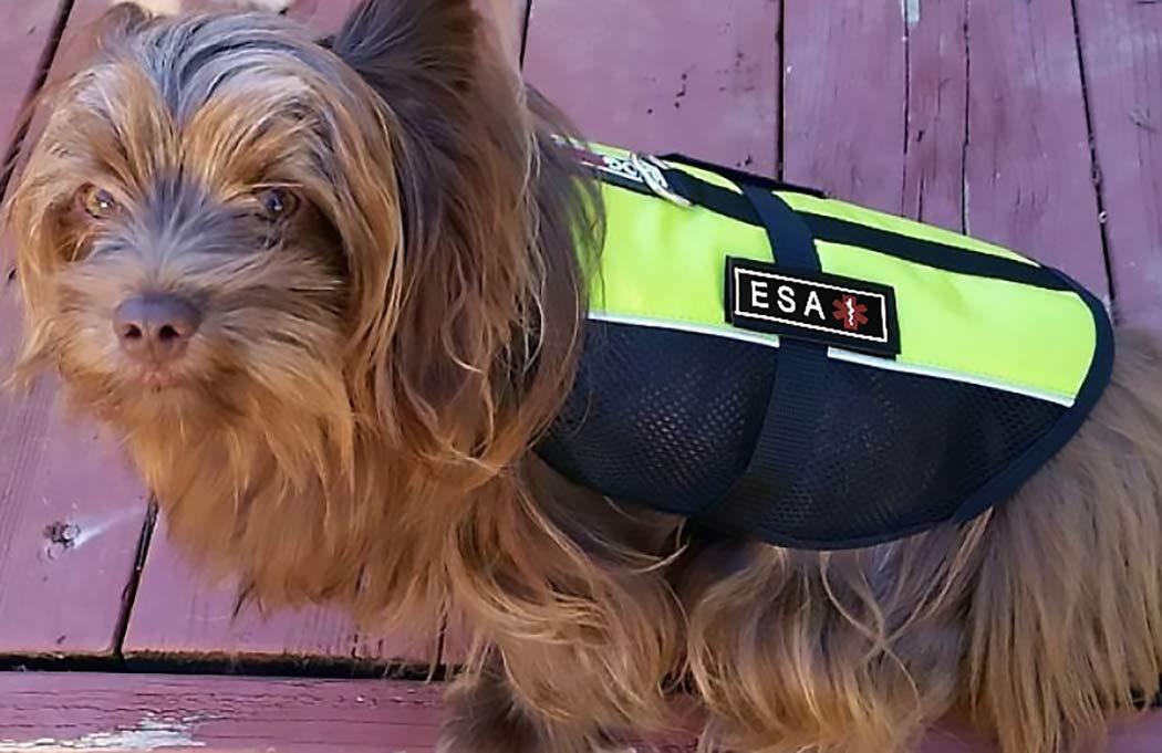 Dogline Rubber Removable Patches