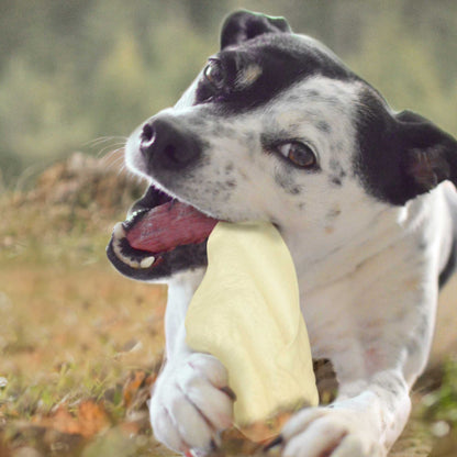 Fantastic Dog Chews Cow Ears