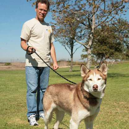 Alpine Outfitters Chew-Proof Dog Leash