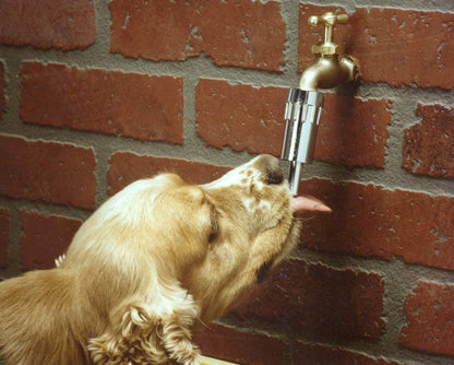 Cool Pup Faucet Dog Waterer