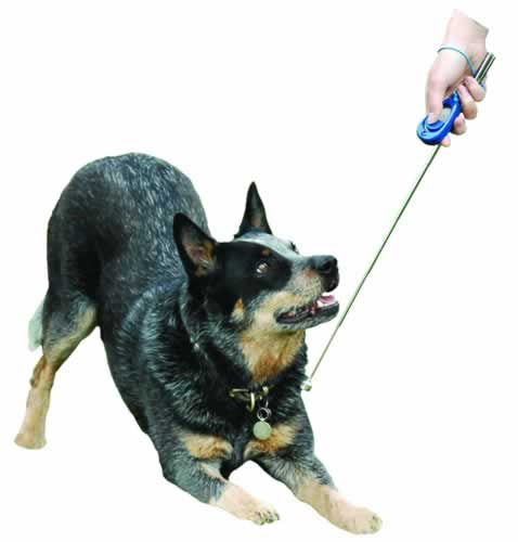 Clix Clix Target Stick