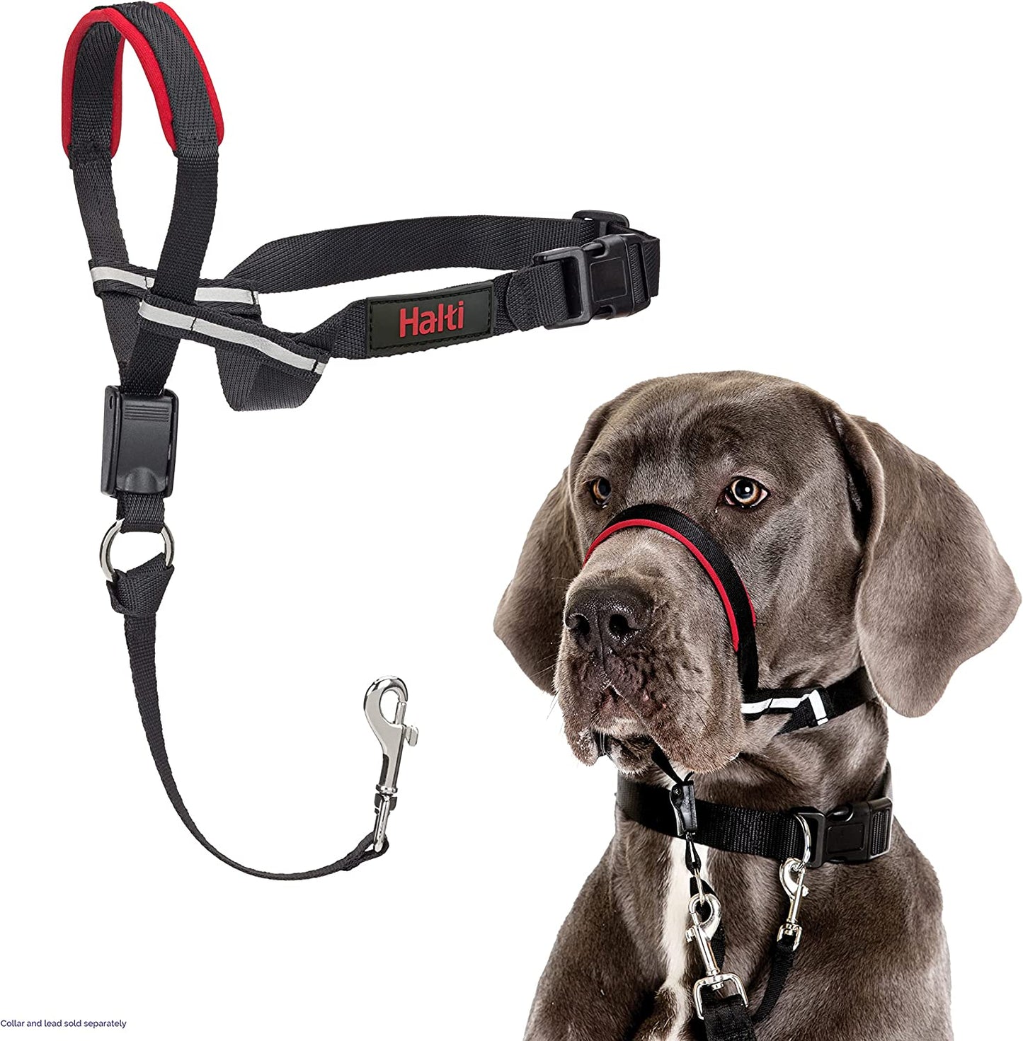Halti Optifit Headcollar
