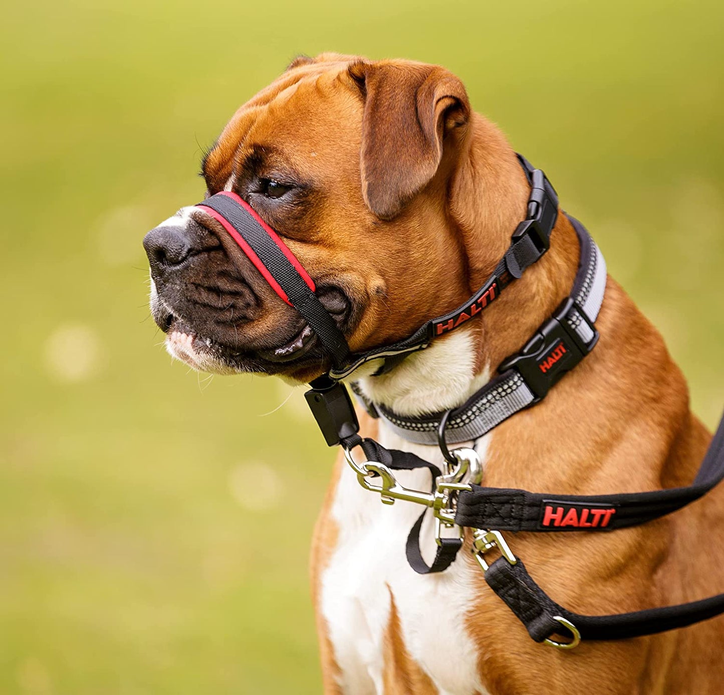 Halti Optifit Headcollar