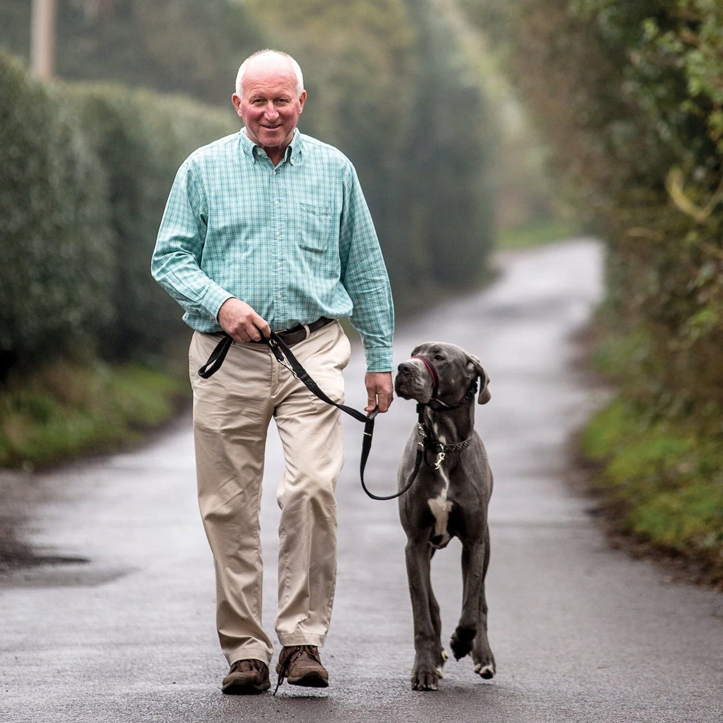 Halti Optifit Headcollar