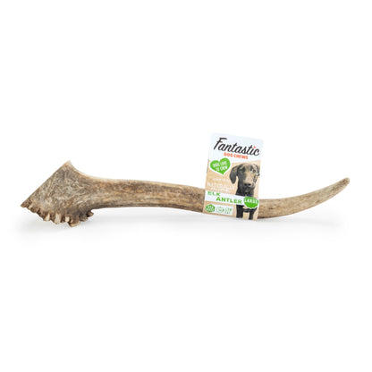Fantastic Dog Chews Elk Antler