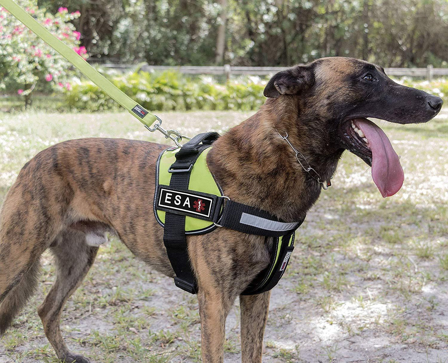 Dogline Rubber Removable Patches