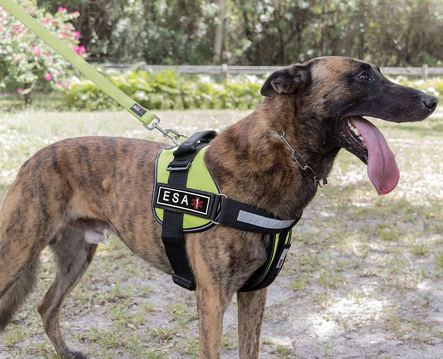 Dogline Rubber Removable Patches