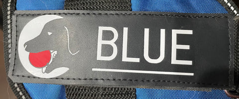 Dogline Personalized Removable Rectangle Patches