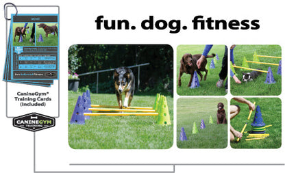 FitPAWS Agility Kit CanineGym 3 Jumps