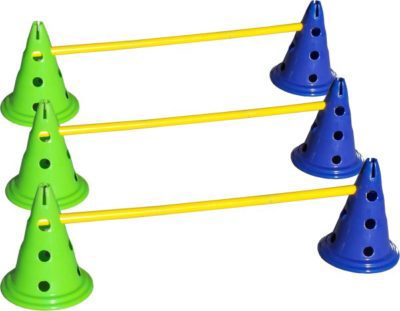 FitPAWS Agility Kit CanineGym 3 Jumps