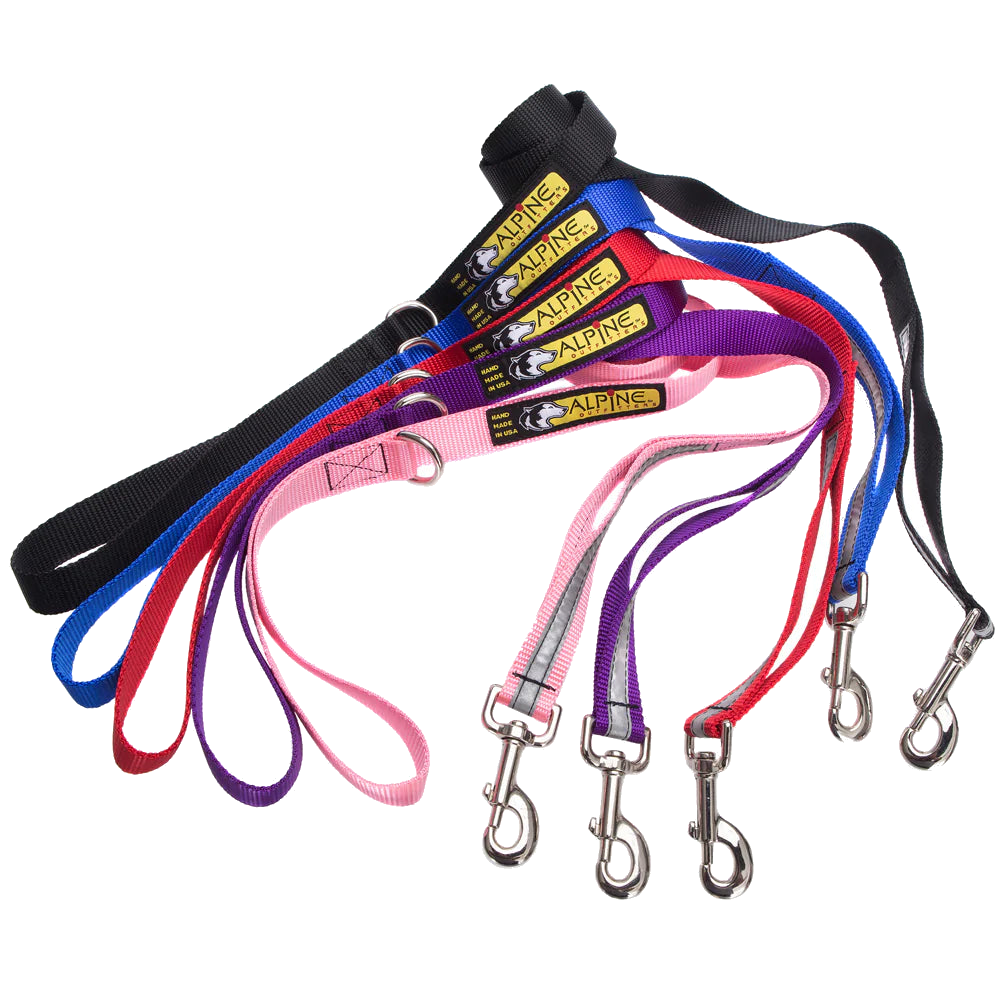 Alpine Outfitters 5' Walking Dog Leash w/Traffic Handle, Reflective Band & Accessory Ring