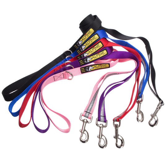 Alpine Outfitters 5' Walking Dog Leash w/Traffic Handle, Reflective Band & Accessory Ring