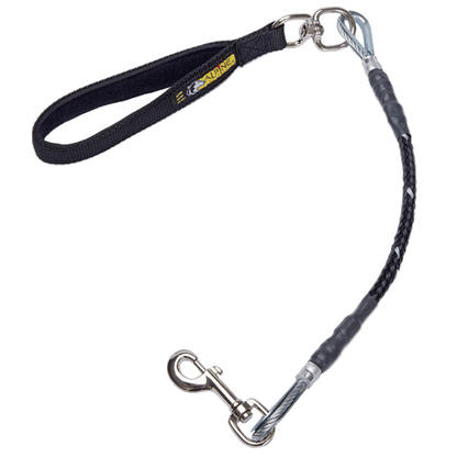 Alpine Outfitters Chew-Proof Dog Leash