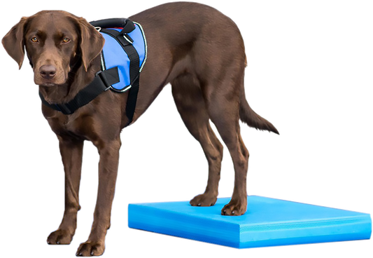 FitPAWS Balance Pad