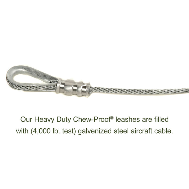 Alpine Outfitters Chew-Proof Dog Leash