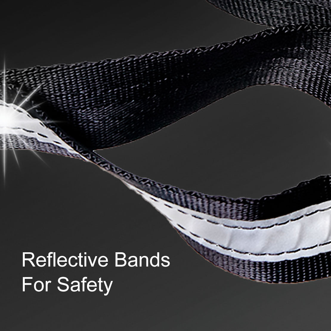 Alpine Outfitters Convertible Dog Leash - Hand-Held or Hands-Free