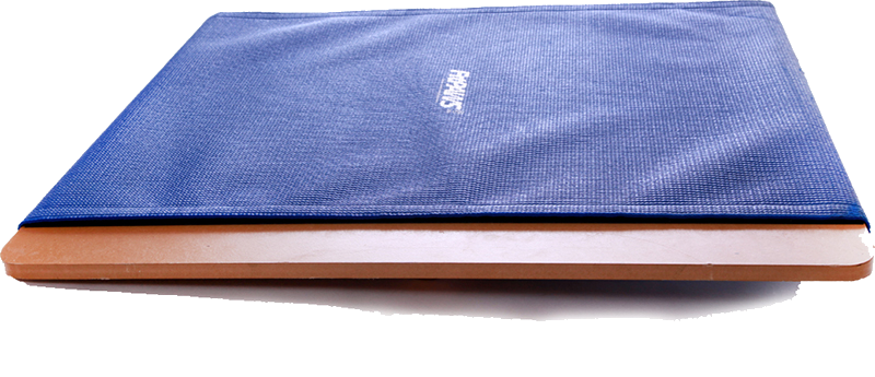 FitPAWS Giant Rocker Board