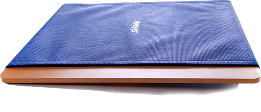 FitPAWS Giant Rocker Board