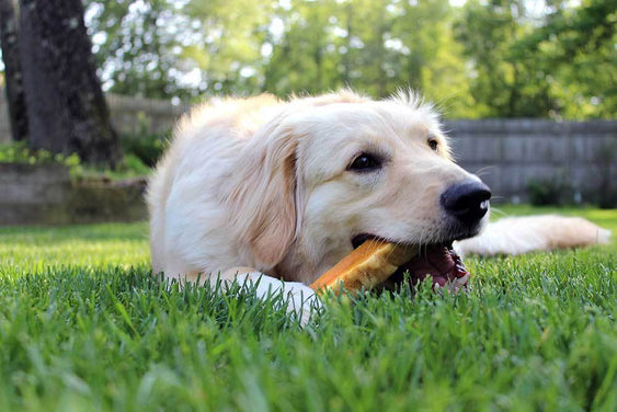 Fantastic Dog Chews Nepalese Yak Cheese Chews