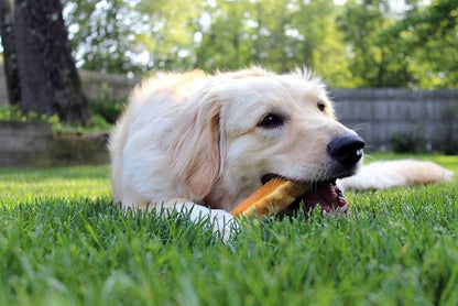 Fantastic Dog Chews Nepalese Yak Cheese Chews