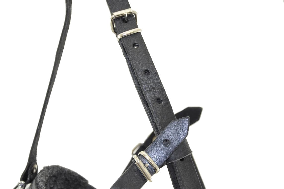 Delta Wire Basket Muzzle