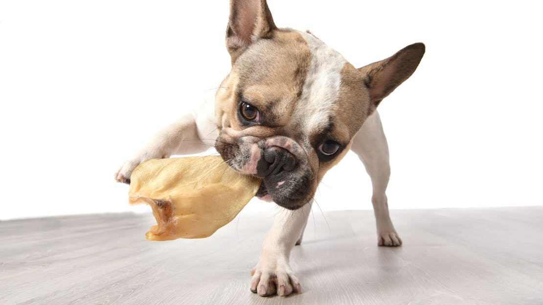 Fantastic Dog Chews Cow Ears