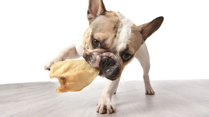 Fantastic Dog Chews Cow Ears
