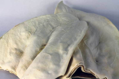 Fantastic Dog Chews Cow Ears